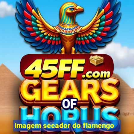 imagem secador do flamengo